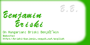 benjamin briski business card